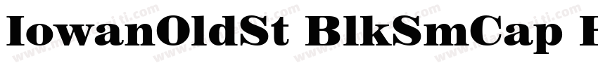 IowanOldSt BlkSmCap BT Black Small字体转换